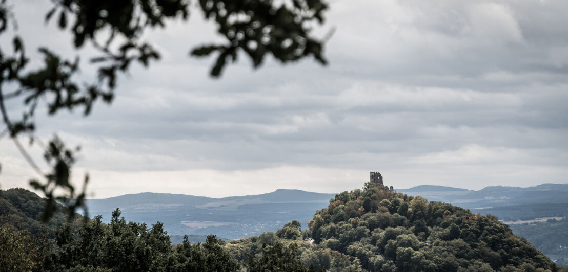 Drachenburg auf dem Drachenfels bei Königswinter im Siebengebirge