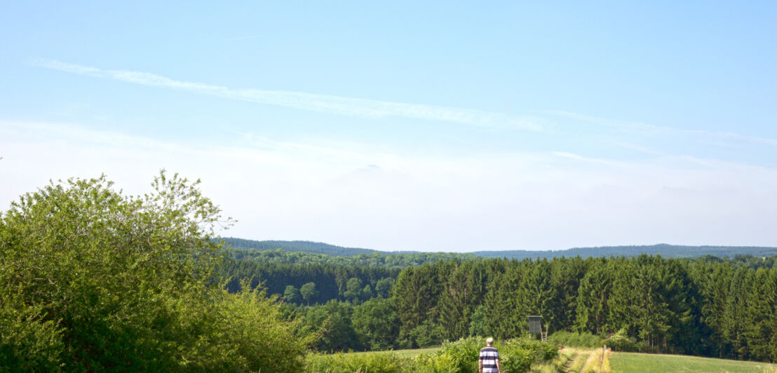 Ein Mann wandert durch die grünen Felder in Richtung eines Waldes