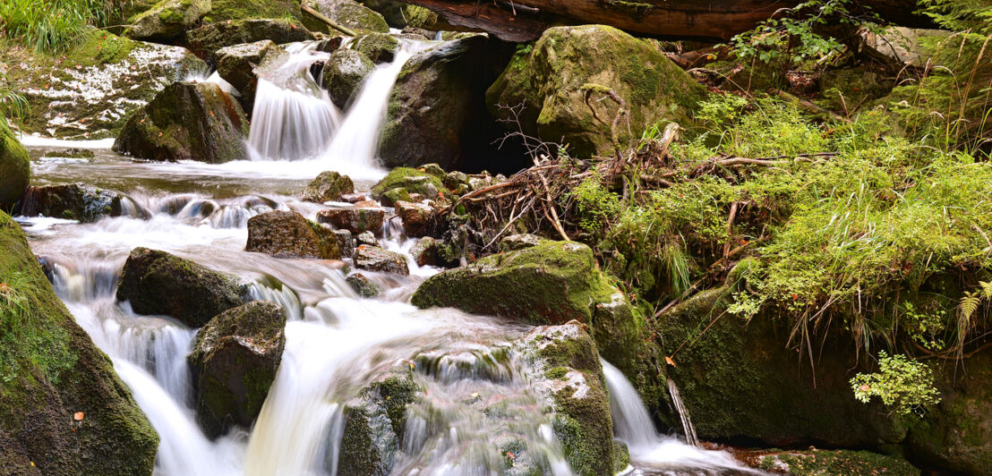 Der Fluss Ilse bei Ilsenburg im Nationalpark Harz