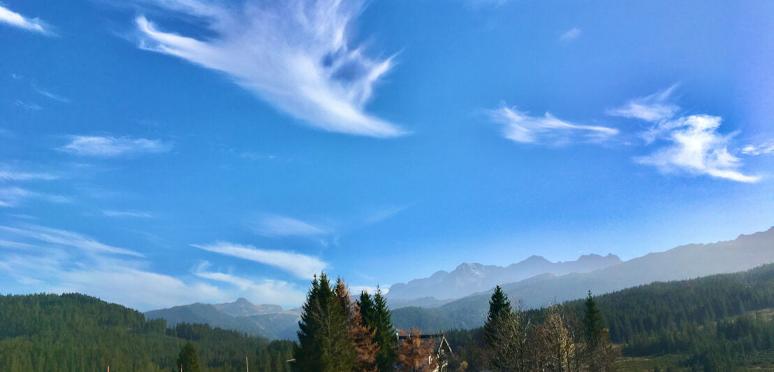 Zwei Häuser auf einer Almwiese in den Alpen vor Bergpanorama