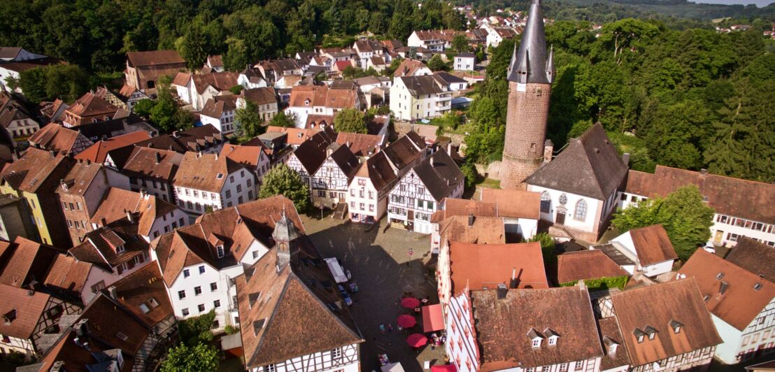 Blick aus der Luft auf die Stadt mit umrandenden Bäumen