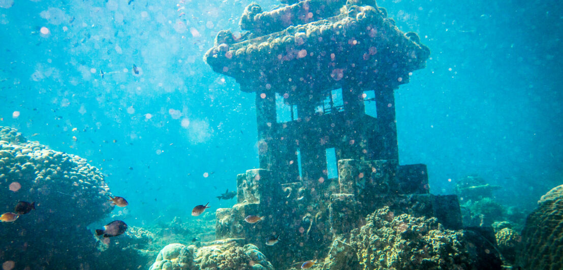 Versunkener Tempel am Tauchspot The Pyramids in Jemuluk, Bali