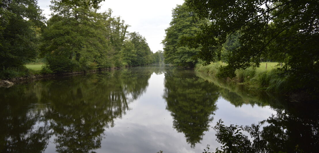 Ein ehemaliger Panzergraben umgeben von Wald und Wiese