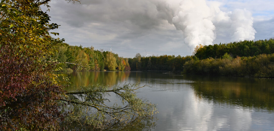 Ein von herbstlich verfärbten Bäumen umgebener See