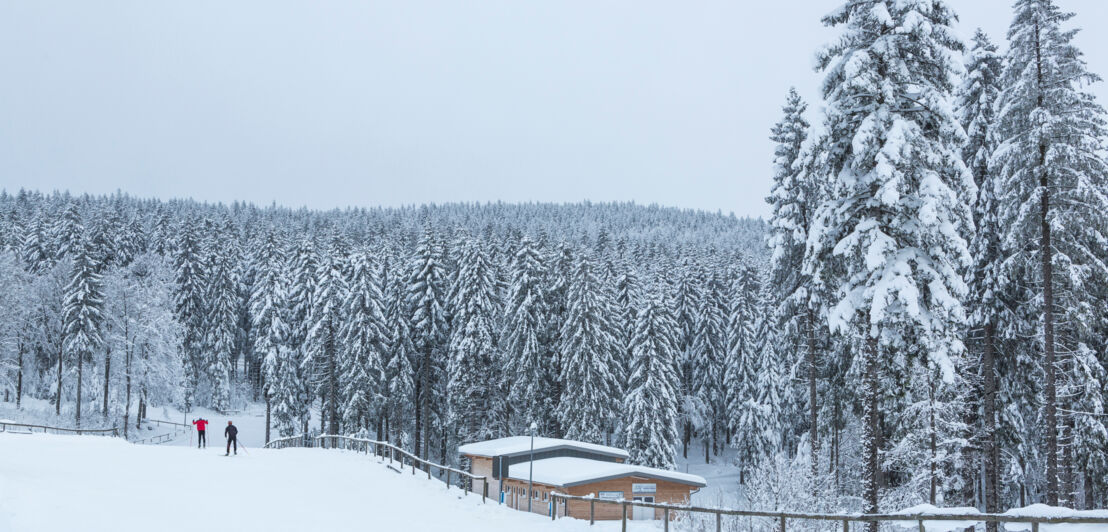 Zwei Skifahrer auf einer verschneiten Langlaufpiste