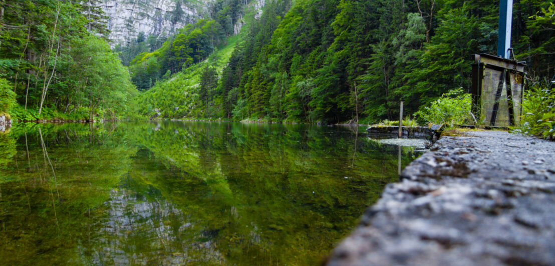 Ein grüner See umgeben von hohen Tannen, im Hintergrund ein Felsmassiv