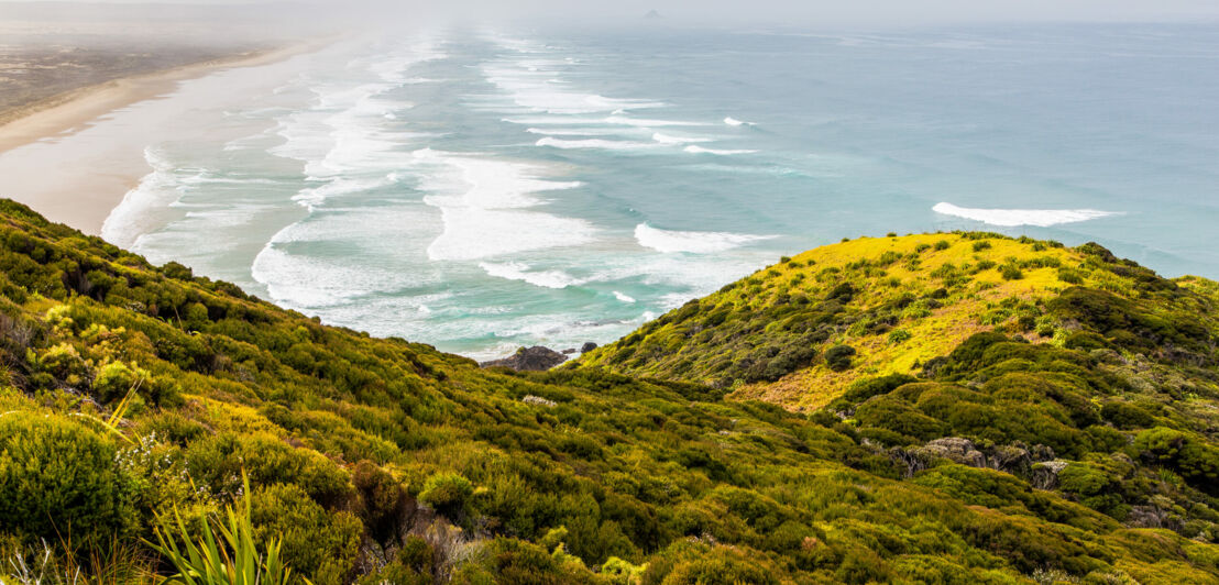 Blick von einem begrünten Hügel auf einen endlosen Strand und Meer