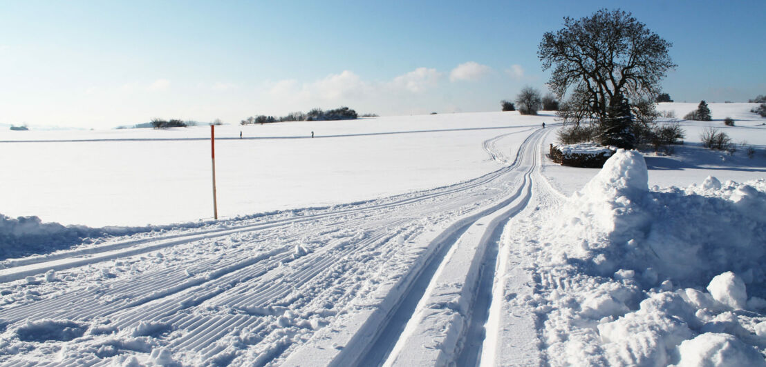 Blick auf Schneelandschaft mit gespurter Loipe