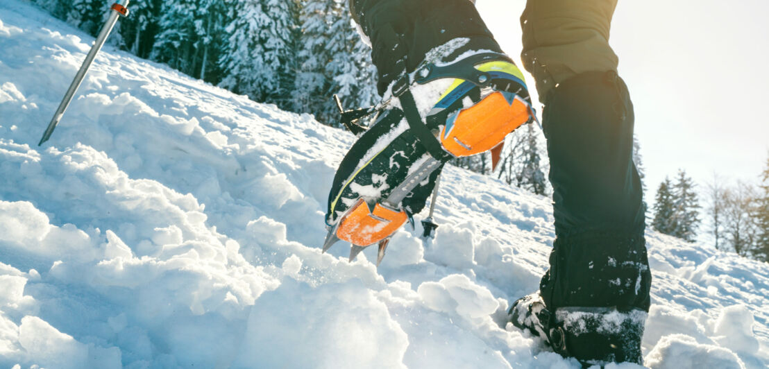 Schuh mit Grödel, von unten fotografiert. Im Hintergrund schneebedeckte Bäume