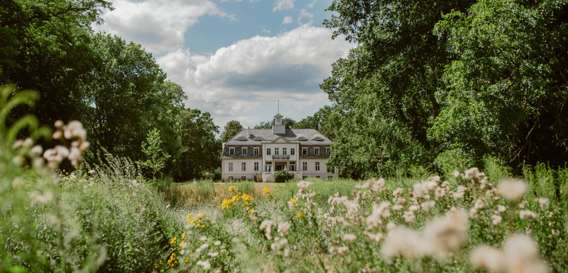 Ein altes aber restauriertes Schloss inmitten eines grünen Parks mit alten Bäumen und Wildblumen