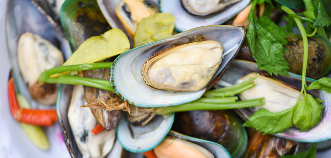 Grünschalenmuscheln mit Kräutern angerichtet