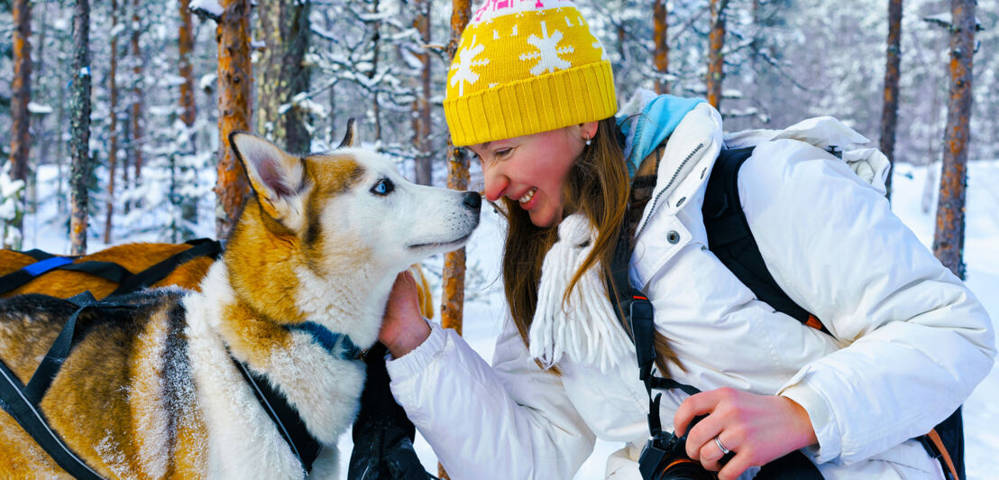 Eine Frau streichelt einen Schlittenhund