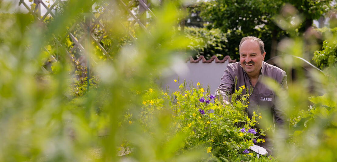 Starkoch Johann Lafer kniet in an einem Kräuterbeet in einem Garten, im Vordergrund Pflanzen