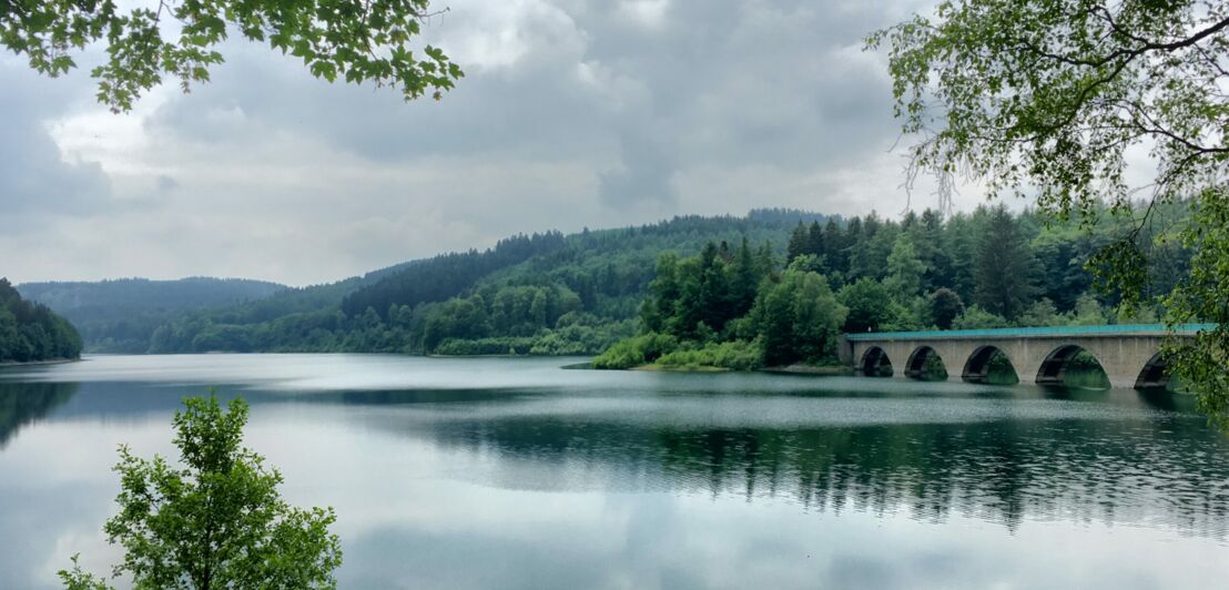 Ein von Wald umgebener See