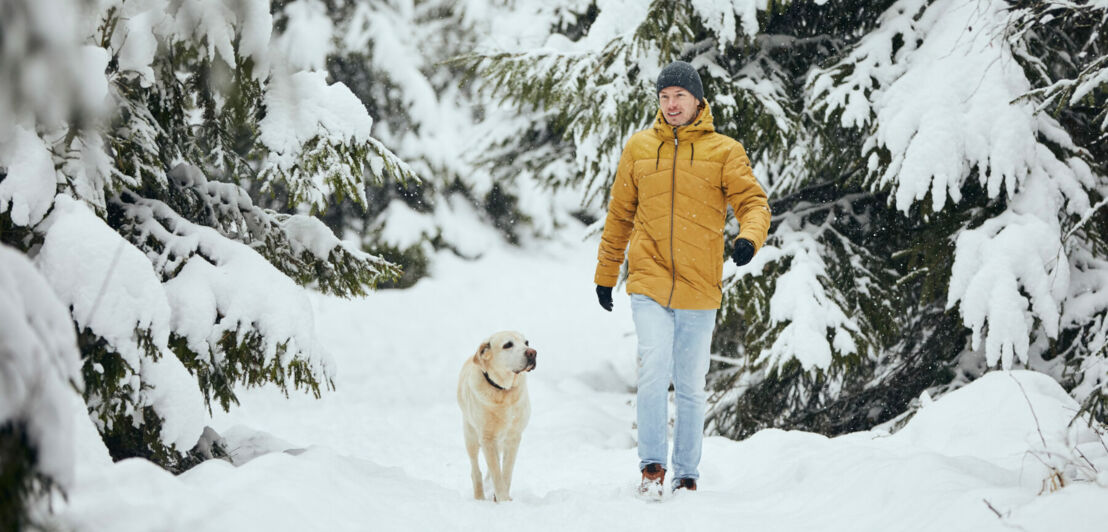 Ein Mann geht mit Hund in einem tief verschneiten Wald spazieren