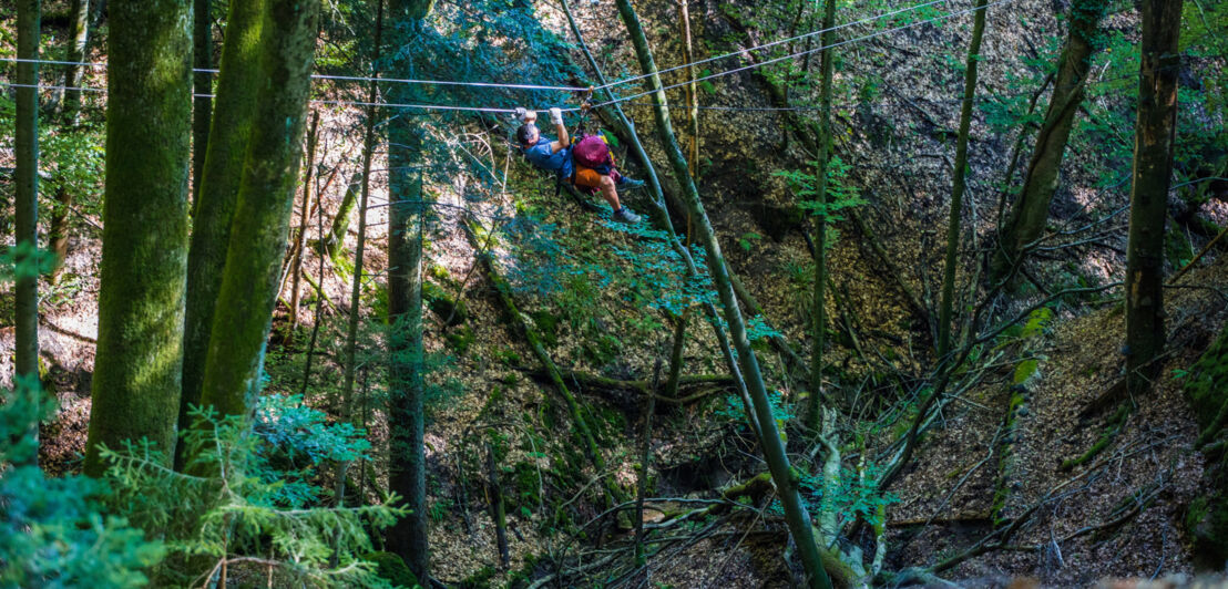 Eine Person hangelt sich im Wald an einem Seil entlang