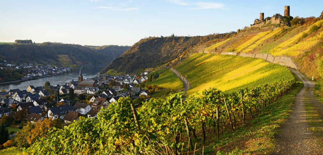 Weinberge und eine kleine Stadt an der Mosel