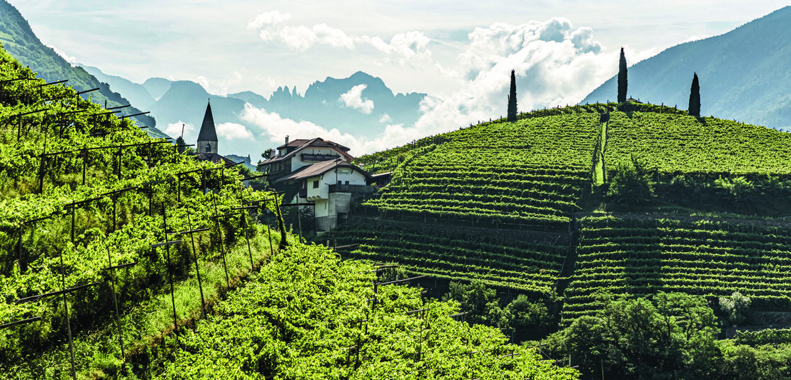 Berglandschaft mit Weinreben und einem kleinen Dorf im Hintergrund