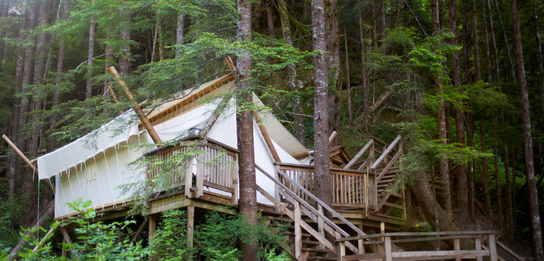 Eine Hütte mit Stoffwänden zwischen großen Bäumen