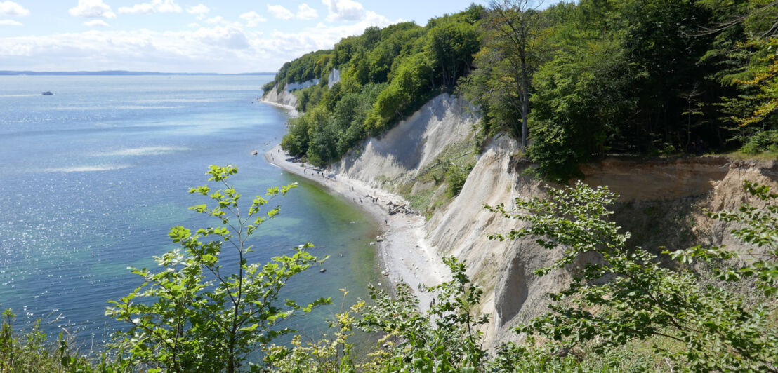 Kreideklippen auf Rügen