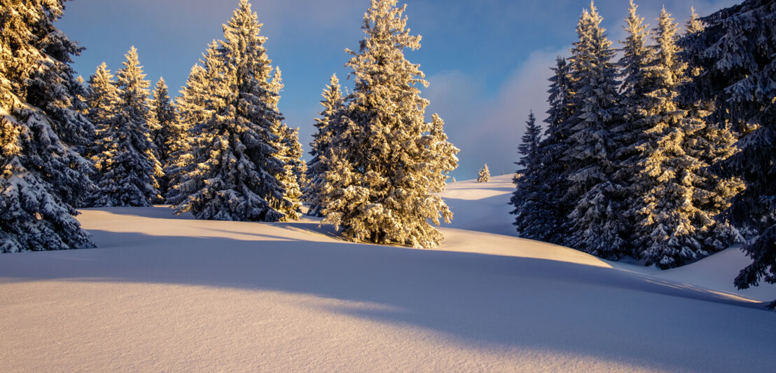 Eine schneebedeckte Landschaft am Morgen.