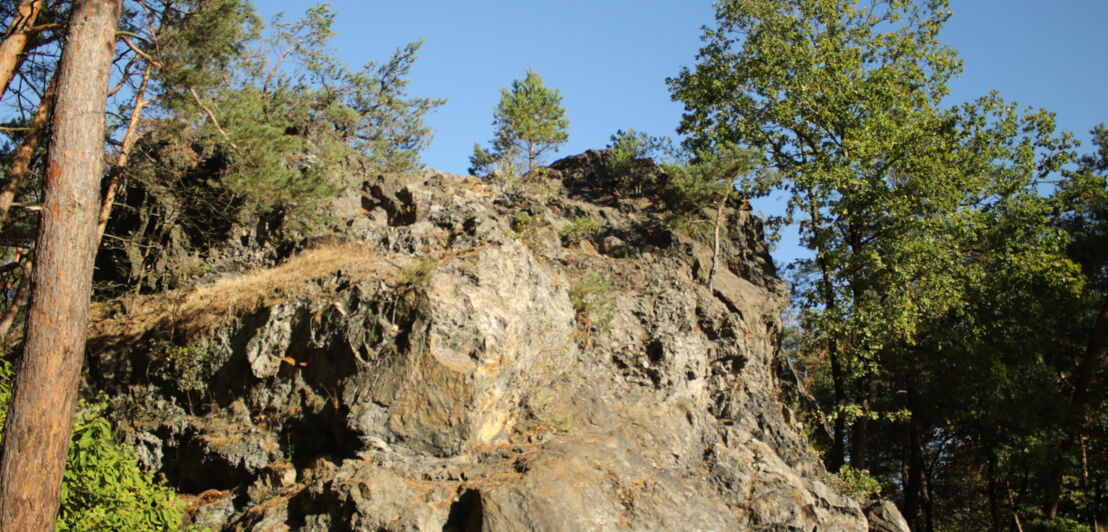 Bizarre Felsformation und Bäume