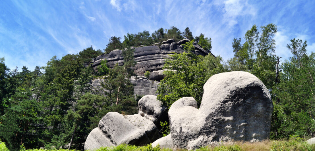 Felsformationen und Wald vor blauem Himmel