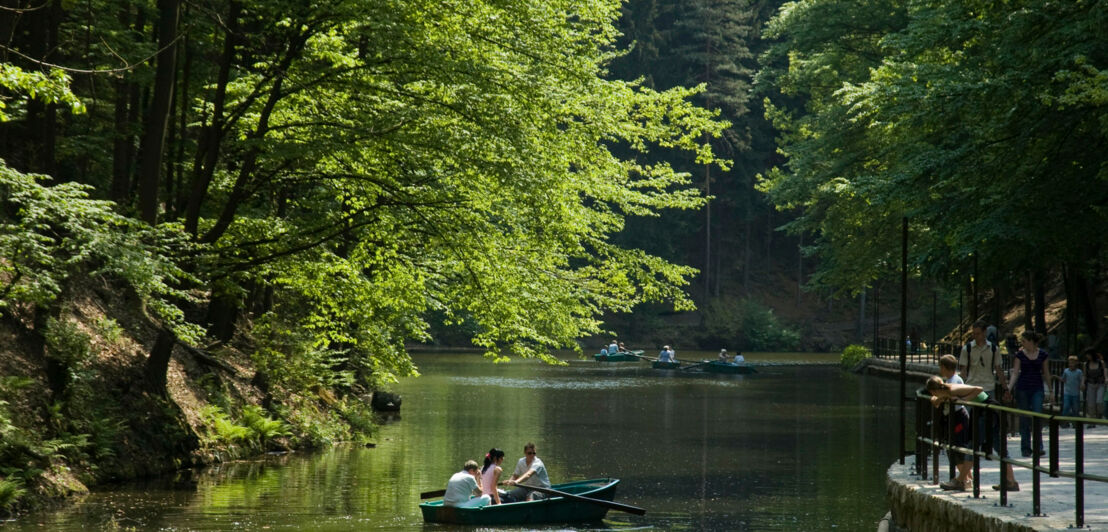 Ein idyllischer See mit Ruderbooten und Spaziergängern am Ufer