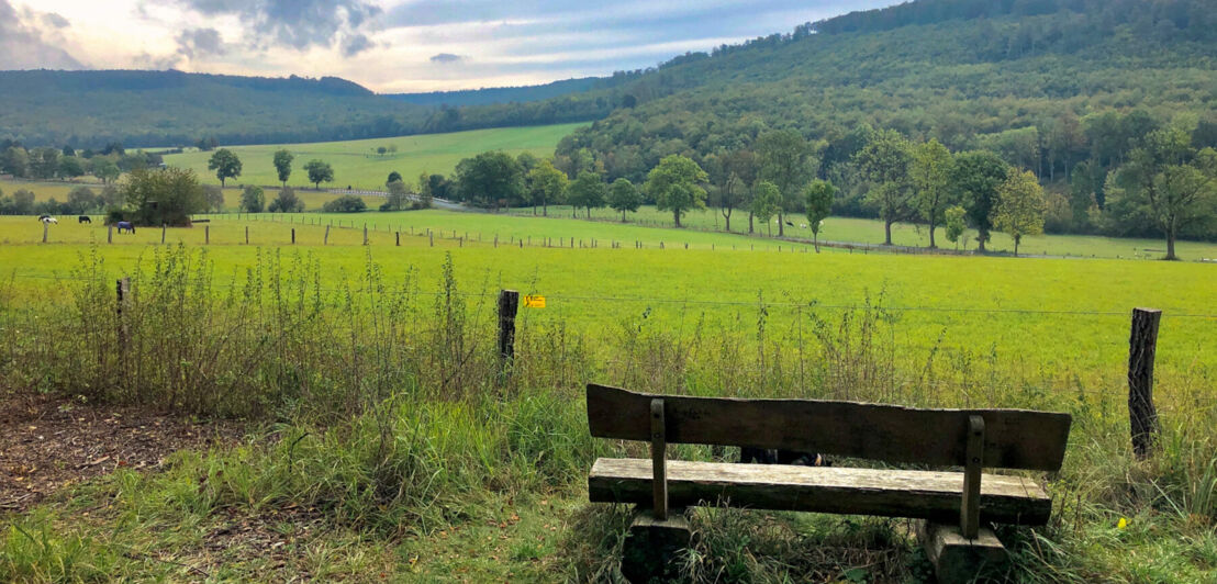 Eine hügelige Landschaft, im Vordergrund eine Holzbank