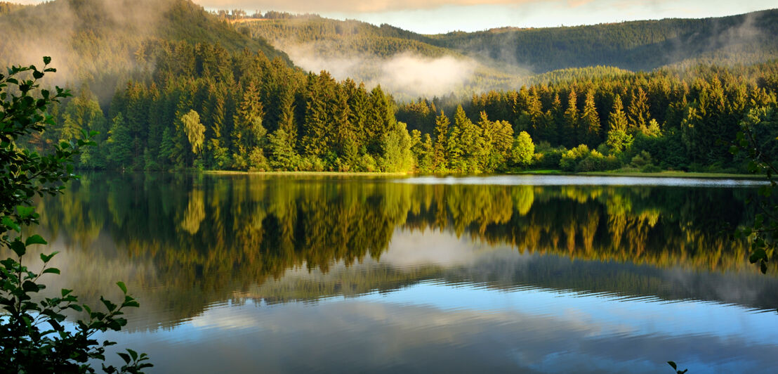 Im Sösestausee im Harz spiegeln sich die umliegenden Bäume.