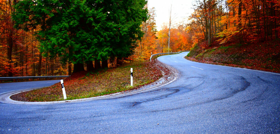 Eine Haarnadelkurve im Herbst