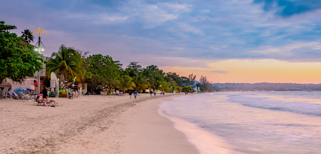 Ein Strand mit Bäumen und Menschen bei Sonnenuntergang