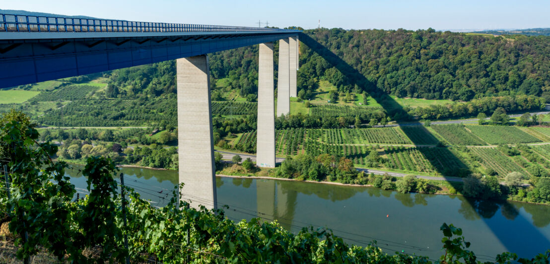 Blick auf die hohe Autobahnviaduktbrücke über das Moseltal und Weinberge.