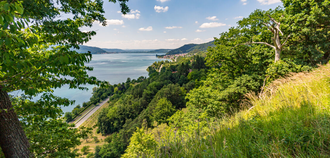 Blick auf den Bodensee.