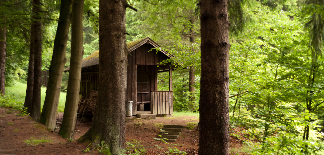 Eine Holzhütte im Wald