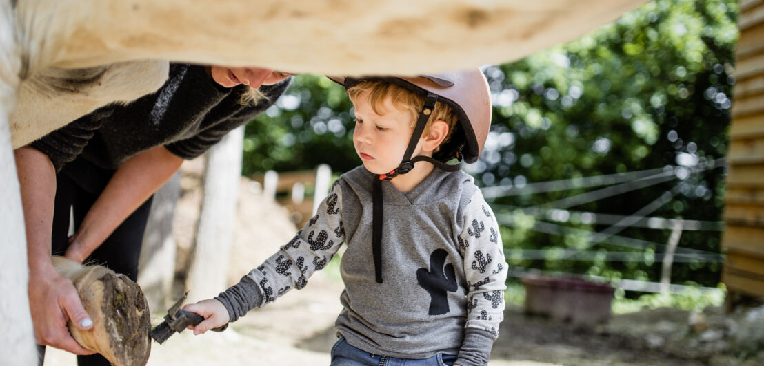 Ein kleiner Junge hilft bei der Ponypflege