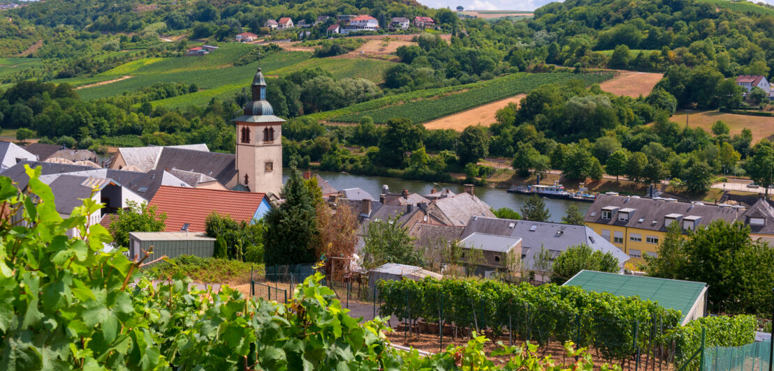 Blick auf eine historische Stadt umgeben von Weinbergen.