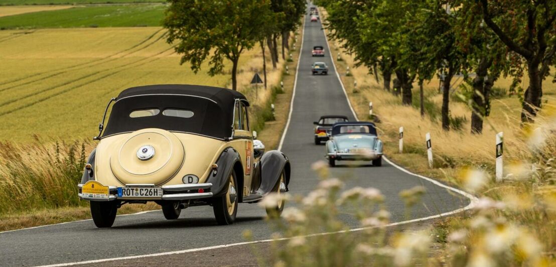 Verschiedene Oldtimer auf einer Landstraße