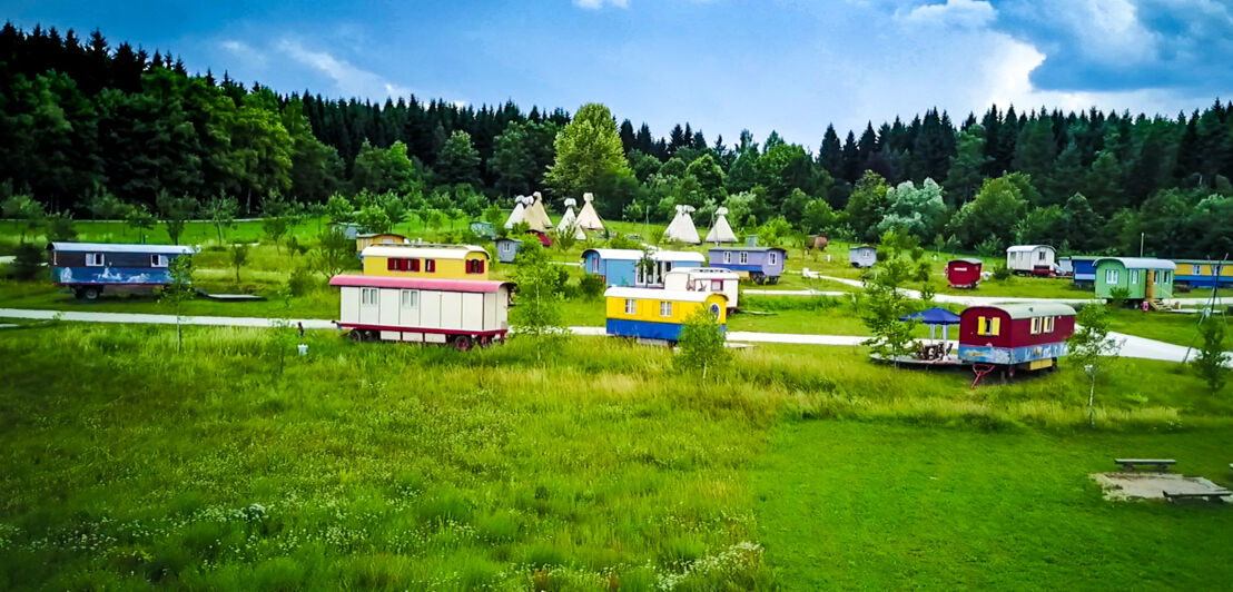 Mehrere Zirkuswagen und Tipis stehen auf einer Wiese verteilt, die von Bäumen gesäumt wird