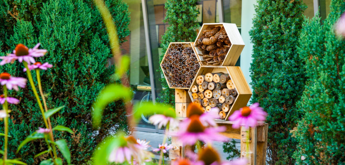 Schutz für Insekten aus natürlichen Materialien im Stadtpark