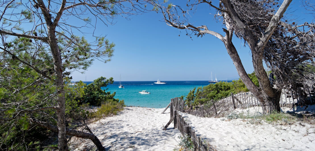 Blick von einem weißen Sandstrand mit Kiefern auf das Meer mit Segelbooten