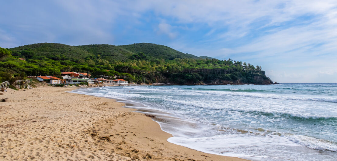 Ein leerer Strand, im Hintergrund ein grünes Wäldchen und eine kleine Siedlung