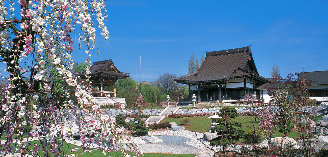 Ein japanisches Haus inmitten einer gepflegten Parkanlage