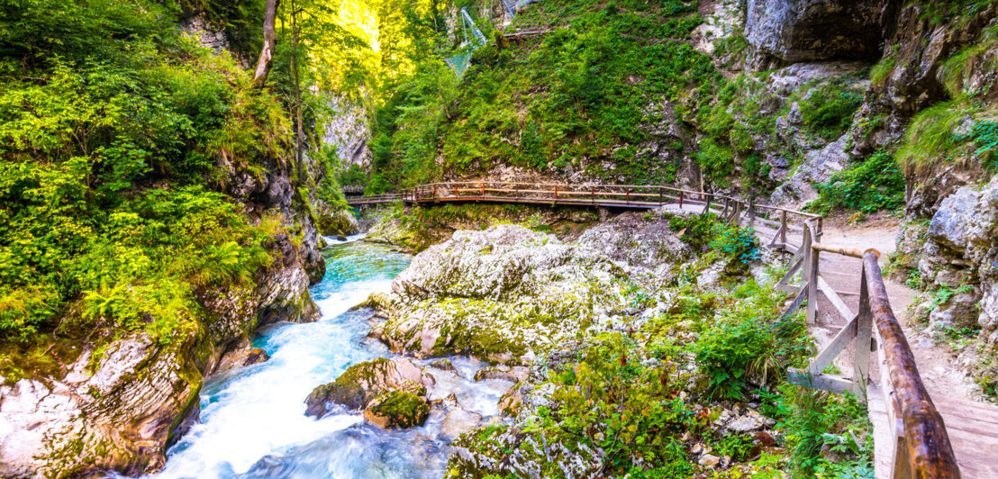 Blick auf die Vintgar Klamm