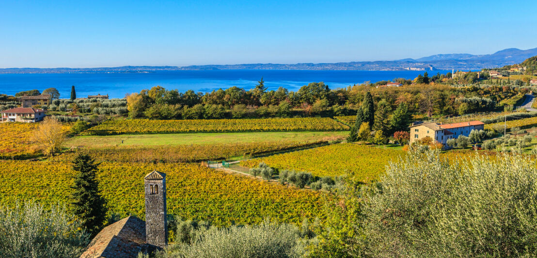 Blick von den Bardolino-Weinbergen auf den Gardasee