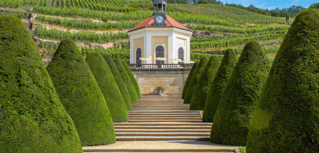 Ein Pavillon inmitten eines Weinberges