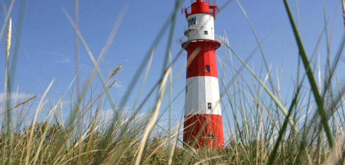 Ein rot-weiß gestreifter Leuchtturm mit Gräsern im Vordergrund