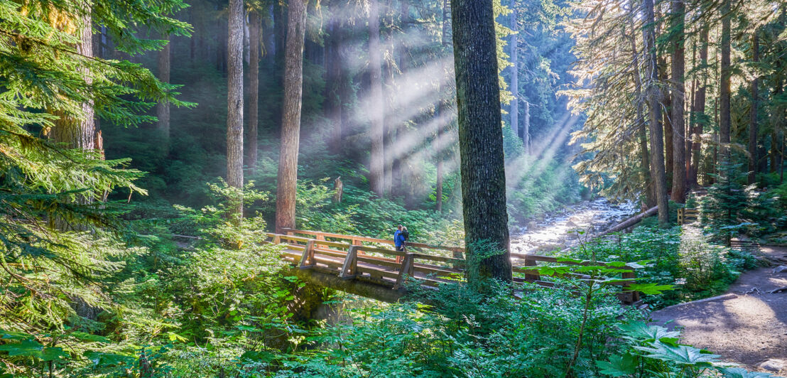 Vater und Tochter auf einer Brücke im Wald