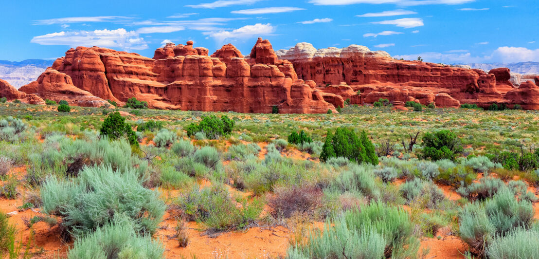 Ein Felsplateau mit Felsen im Hintergrund