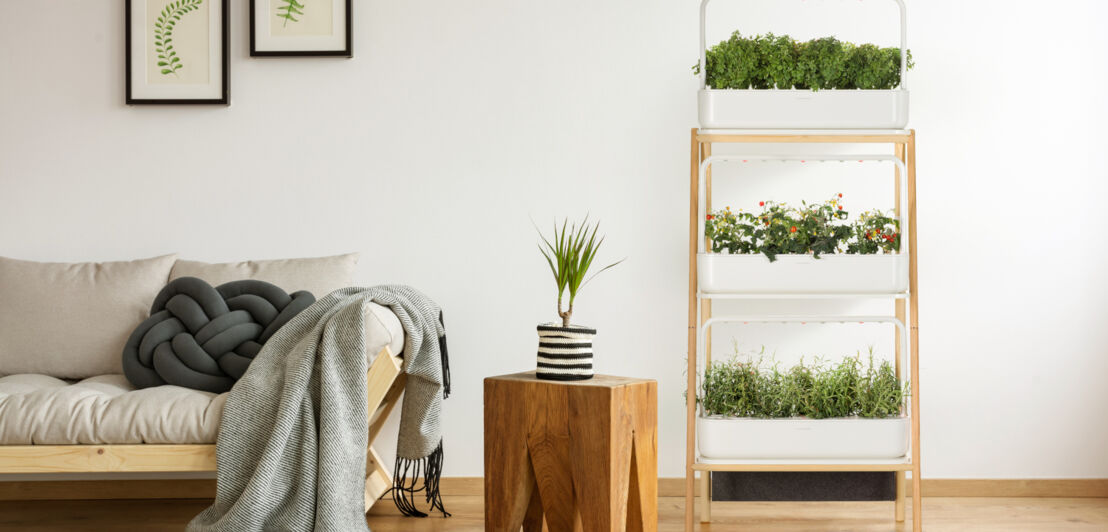 Indoor-Kräutergarten in Regalform mitten im Wohnzimmer